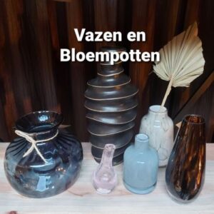 Vazen en Bloempotten